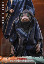 Hot Toys Thia and Bud collectible set