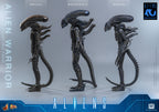 Pre-Order “Aliens” 1/6th Scale Alien Warrior Collectible Figure