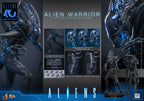 Pre-Order “Aliens” 1/6th Scale Alien Warrior Collectible Figure