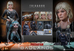 Hot Toys Thia and Bud collectible set